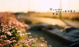 早安视频图片加音乐,音乐唤醒美好一天