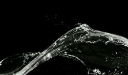 水视频,水视频深度解析