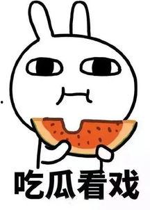 娱乐吃瓜酱记单词,揭秘娱乐圈背后的单词奥秘